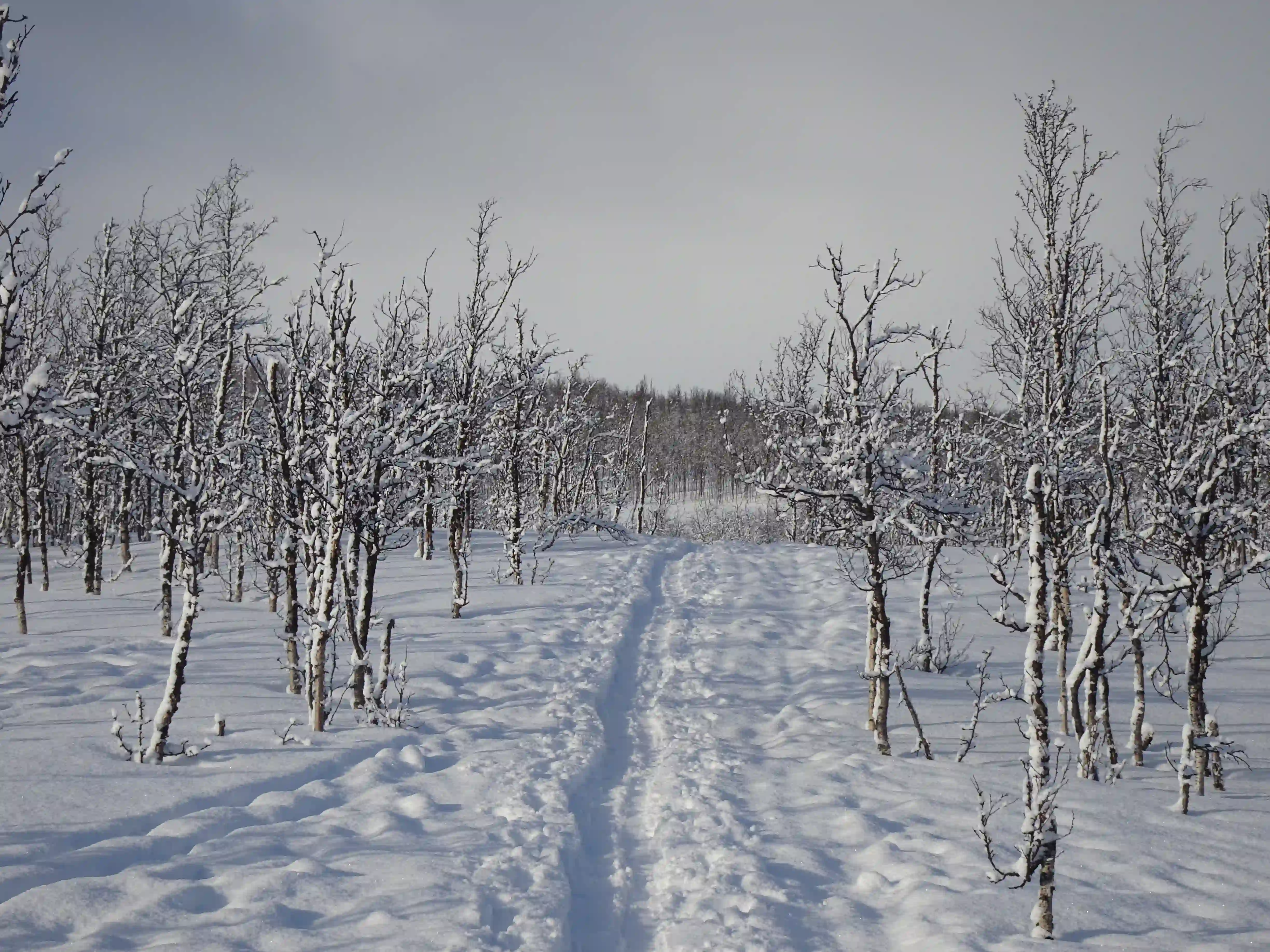 Skitour Norwegen Thomas Gianola bergführer